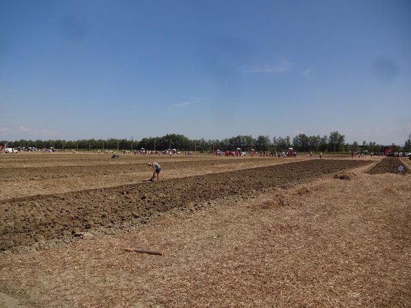 Landesentscheid Pflügen